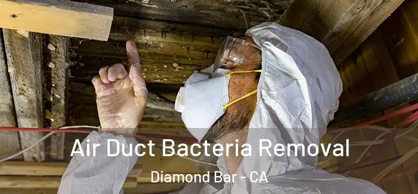Air Duct Bacteria Removal Diamond Bar - CA