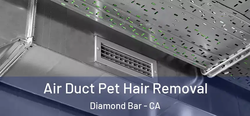 Air Duct Pet Hair Removal Diamond Bar - CA