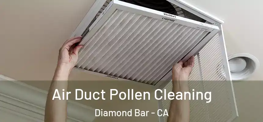 Air Duct Pollen Cleaning Diamond Bar - CA