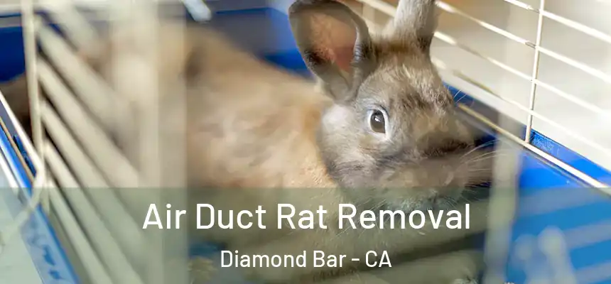 Air Duct Rat Removal Diamond Bar - CA