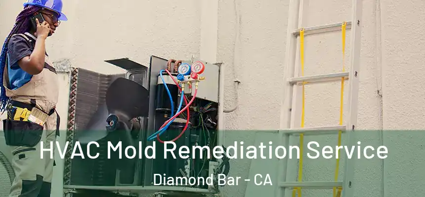  HVAC Mold Remediation Service Diamond Bar - CA