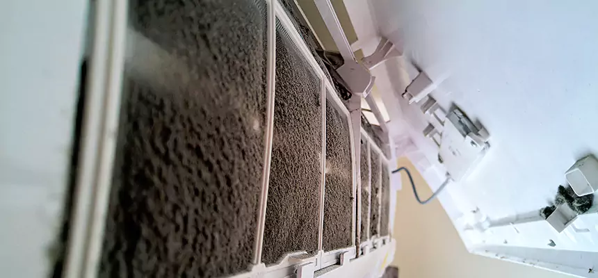 Preventive Air Duct Bacteria Removal in Diamond Bar