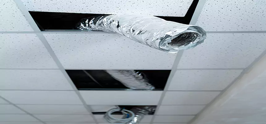 Our Air Duct Pet Hair Removal Services in Diamond Bar, CA