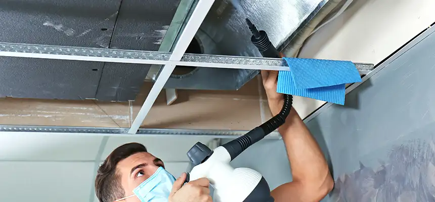Our Air Duct Rodent Removal Services in Diamond Bar, CA
