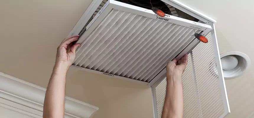 Our Insect Removal from Air Ducts Services in Diamond Bar, CA
