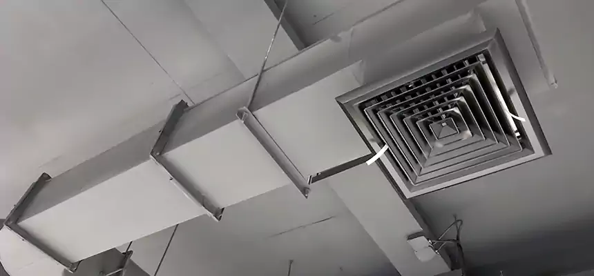 Our Pest Removal From Ducts Services in Diamond Bar, CA