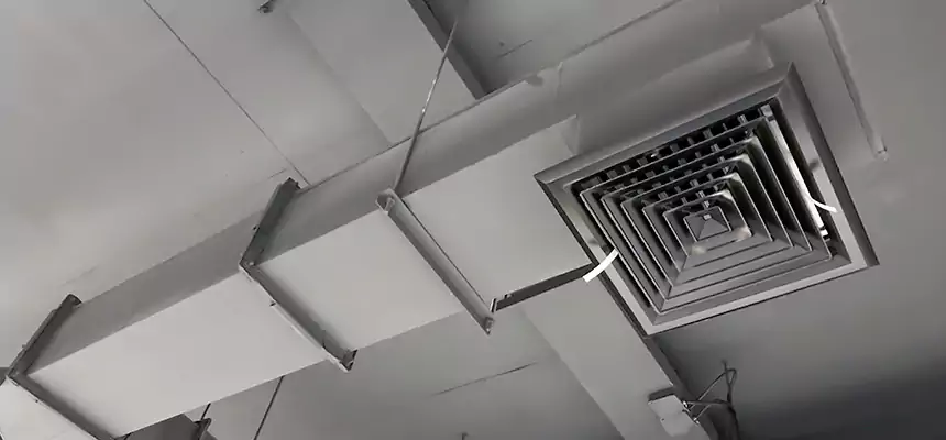 Our Rodent Droppings In Vents Services in Diamond Bar, CA