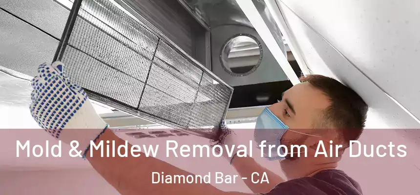  Mold & Mildew Removal from Air Ducts Diamond Bar - CA