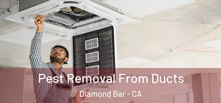 Pest Removal From Ducts Diamond Bar - CA