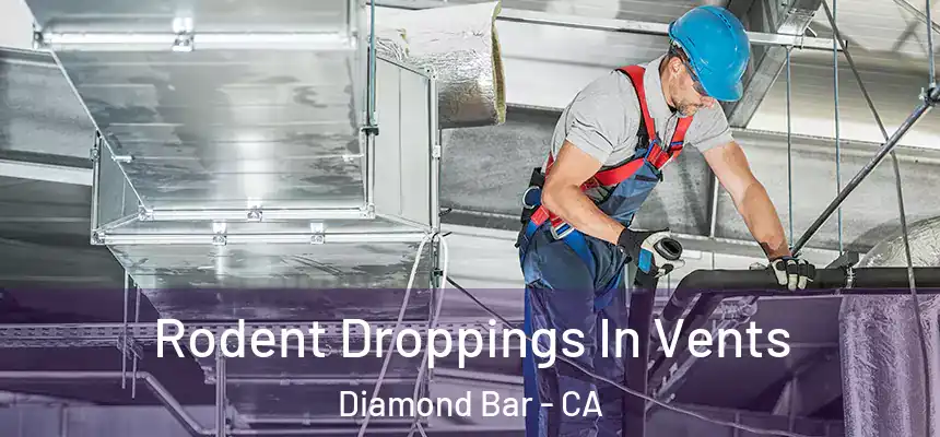  Rodent Droppings In Vents Diamond Bar - CA