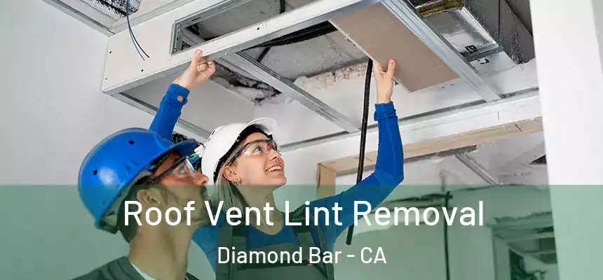  Roof Vent Lint Removal Diamond Bar - CA